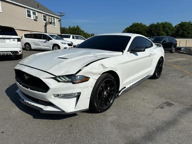 2019 FORD MUSTANG, null