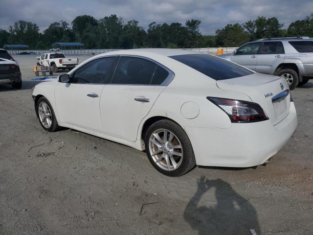 1N4AA5AP4DC811546 - 2013 NISSAN MAXIMA S 白色 照片 2