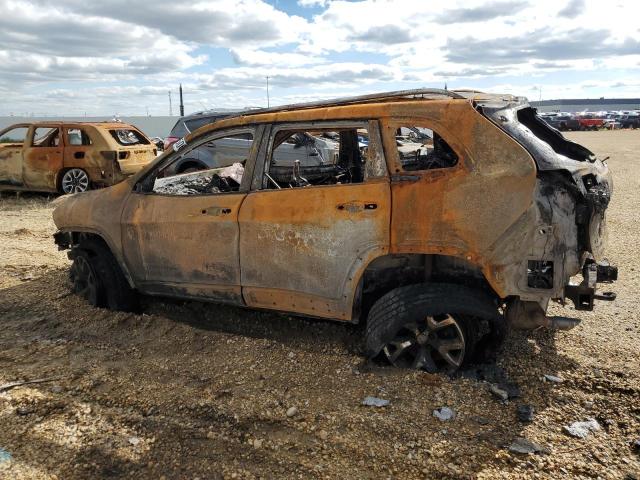 1C4PJMBS1GW354196 - 2016 JEEP CHEROKEE TRAILHAWK BURN photo 2
