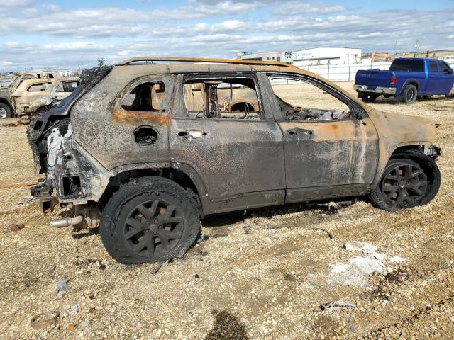 1C4PJMBS1GW354196 - 2016 JEEP CHEROKEE TRAILHAWK BURN photo 3