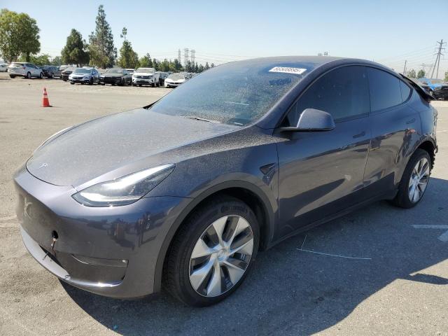2023 TESLA MODEL Y, 