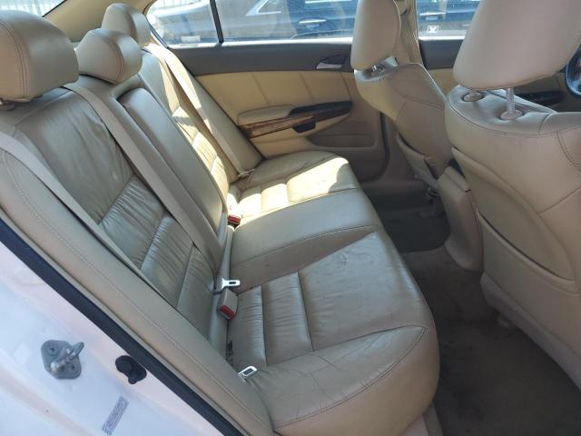 1HGCP26898A065342 - 2008 HONDA ACCORD EXL WHITE photo 10