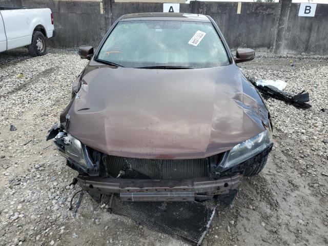 1HGCT1B85EA010572 - 2014 HONDA ACCORD EXL BROWN photo 5