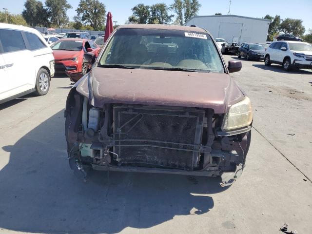 5FNYF18518B033187 - 2008 HONDA PILOT EXL BURGUNDY photo 5