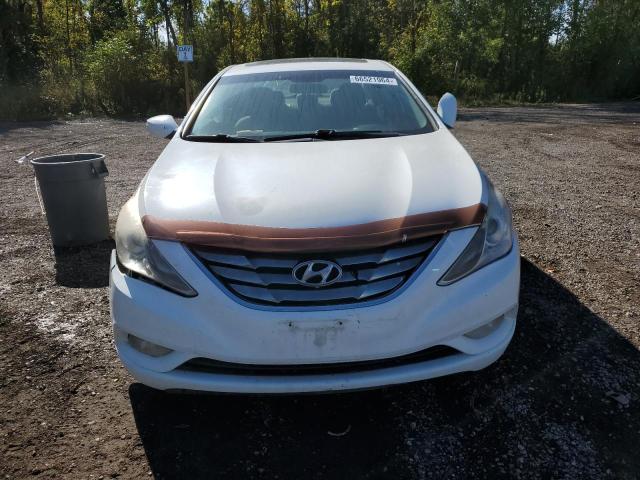 5NPEB4AC3BH284553 - 2011 HYUNDAI SONATA GLS WHITE photo 5