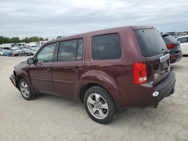 5FNYF4H59DB060150 - 2013 HONDA PILOT EXL BROWN photo 2