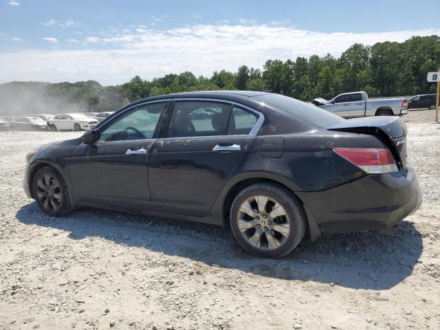 1HGCP36838A004929 - 2008 HONDA ACCORD EXL BLACK photo 2