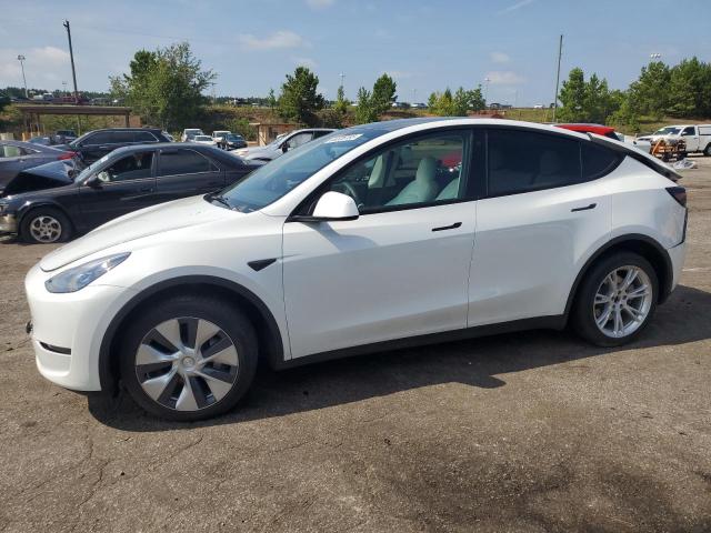 2023 TESLA MODEL Y, null