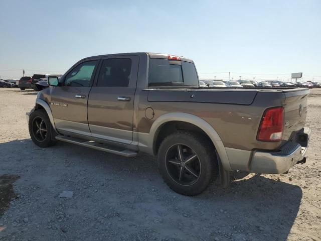 1D3HV13T29J526130 - 2009 DODGE RAM 1500 TAN photo 2