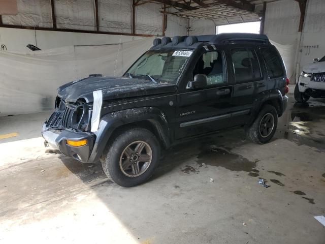 2004 JEEP LIBERTY RENEGADE, 