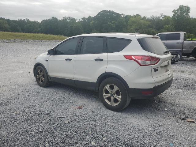 1FMCU0F78EUC56744 - 2014 FORD ESCAPE S 白色 照片 2