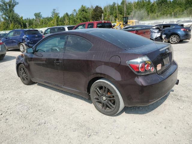 JTKDE3B70A0309184 - 2010 TOYOTA SCION TC 紫色 照片 2
