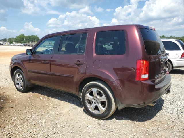 5FNYF4H60CB041039 - 2012 HONDA PILOT EXL 栗色 照片 2