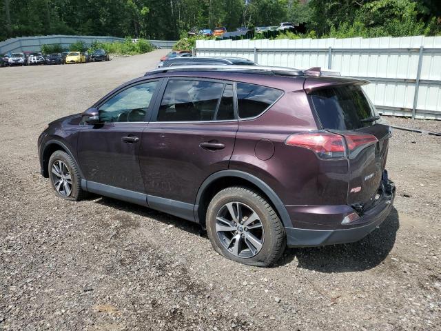 2T3RFREV6HW650005 - 2017 TOYOTA RAV4 XLE PURPLE photo 2