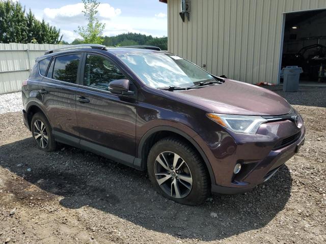 2T3RFREV6HW650005 - 2017 TOYOTA RAV4 XLE PURPLE photo 4