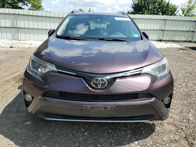 2T3RFREV6HW650005 - 2017 TOYOTA RAV4 XLE PURPLE photo 5