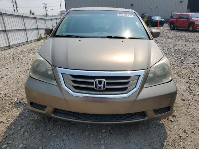 5FNRL384X9B016132 - 2009 HONDA ODYSSEY EX 金色 照片 5
