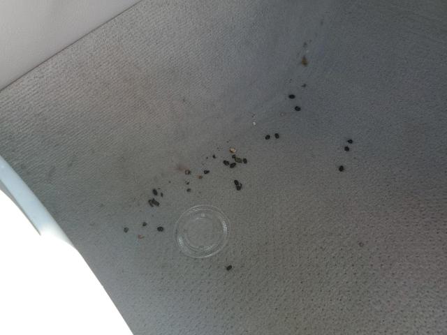 4T1BK3DB5CU453961 - 2012 TOYOTA AVALON BASE 银色 照片 12