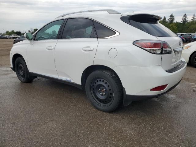 2T2BC1BA7FC004410 - 2015 LEXUS RX 450H WHITE photo 2