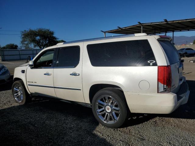 1GYS4KEF3BR211997 - 2011 CADILLAC ESCALADE ESV PLATINUM კრემისფერი ფოტო 2