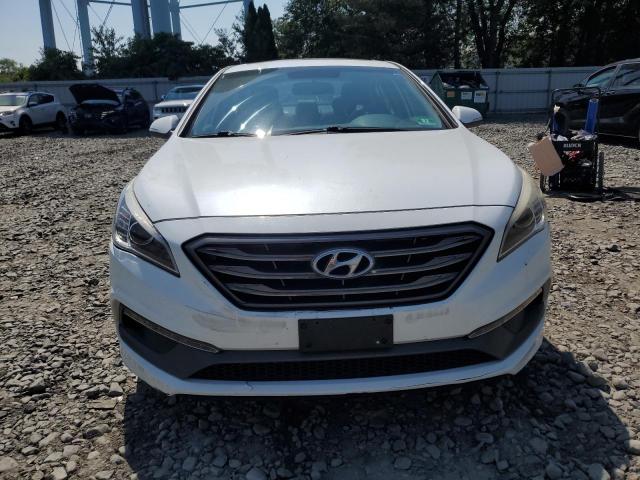 5NPE34AF0GH389839 - 2016 HYUNDAI SONATA SPORT თეთრი ფოტო 5