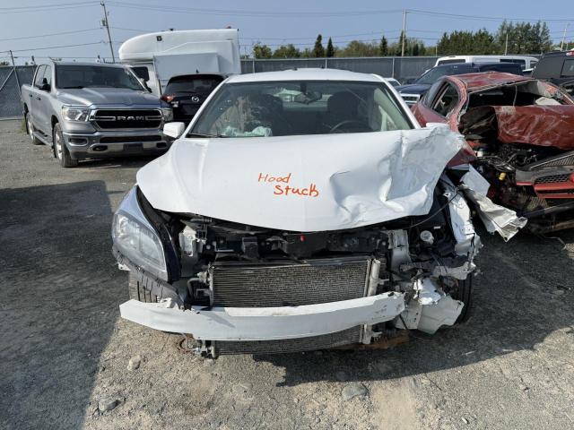 1G11B5SA4DF174036 - 2013 CHEVROLET MALIBU LS WHITE photo 5