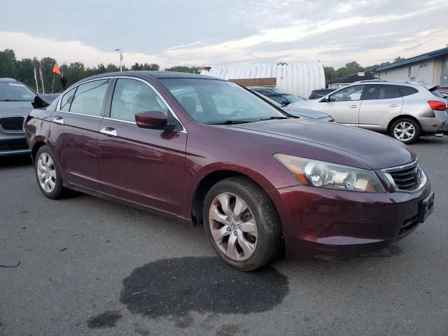 1HGCP368X9A006310 - 2009 HONDA ACCORD EXL BURGUNDY photo 4