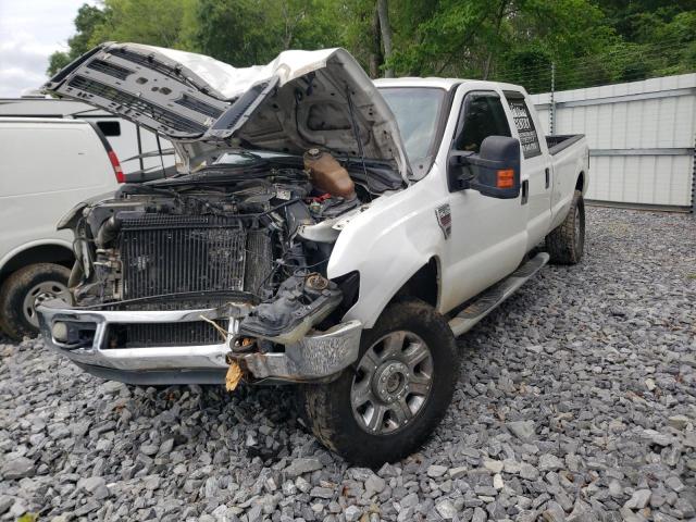 2008 FORD F350 SRW SUPER DUTY, 