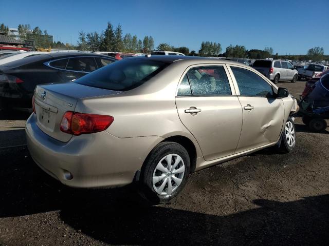 2T1BU4EEXAC194195 - 2010 TOYOTA COROLLA BASE Beige Foto 3