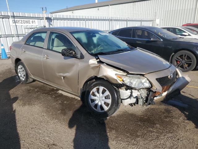 2T1BU4EEXAC194195 - 2010 TOYOTA COROLLA BASE Beige Foto 4