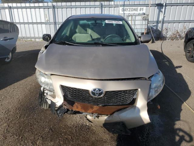 2T1BU4EEXAC194195 - 2010 TOYOTA COROLLA BASE Beige Foto 5