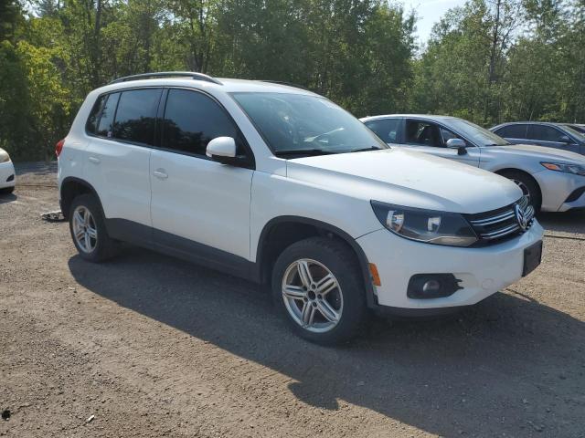 WVGHV3AX3EW582001 - 2014 VOLKSWAGEN TIGUAN S WHITE photo 4