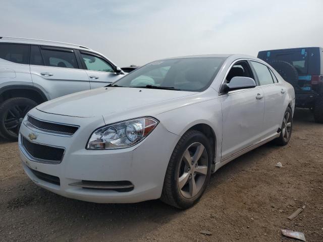 2011 CHEVROLET MALIBU 1LT, 