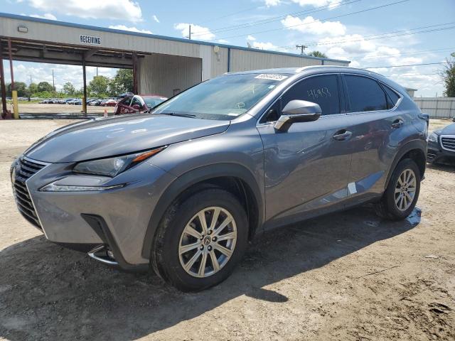 JTJYARBZ1K2141857 - 2019 LEXUS NX 300 BASE Boz foto 1