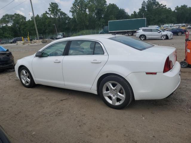 1G1ZB5EB4AF246503 - 2010 CHEVROLET MALIBU LS Ağ foto 2