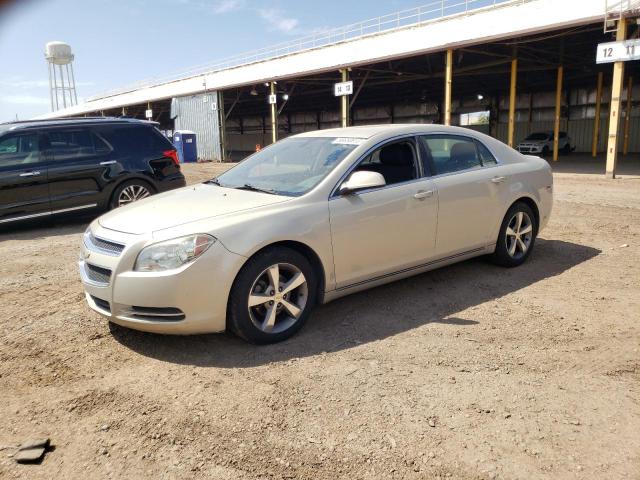 1G1ZC5E12BF211299 - 2011 CHEVROLET MALIBU 1LT 米色 照片 1