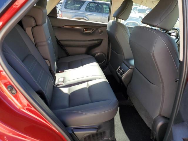 JTJDARDZ4M5030975 - 2021 LEXUS NX 300 BASE Բորդո լուսանկար 11