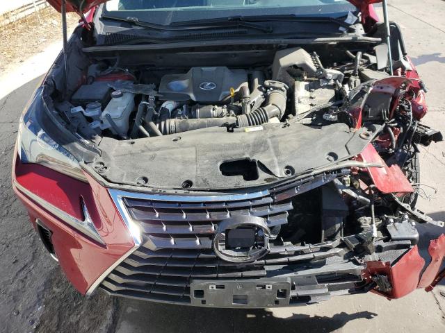 JTJDARDZ4M5030975 - 2021 LEXUS NX 300 BASE Բորդո լուսանկար 12
