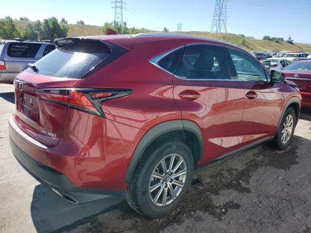 JTJDARDZ4M5030975 - 2021 LEXUS NX 300 BASE Բորդո լուսանկար 3