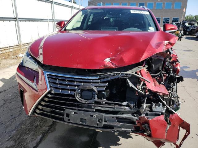 JTJDARDZ4M5030975 - 2021 LEXUS NX 300 BASE Բորդո լուսանկար 5