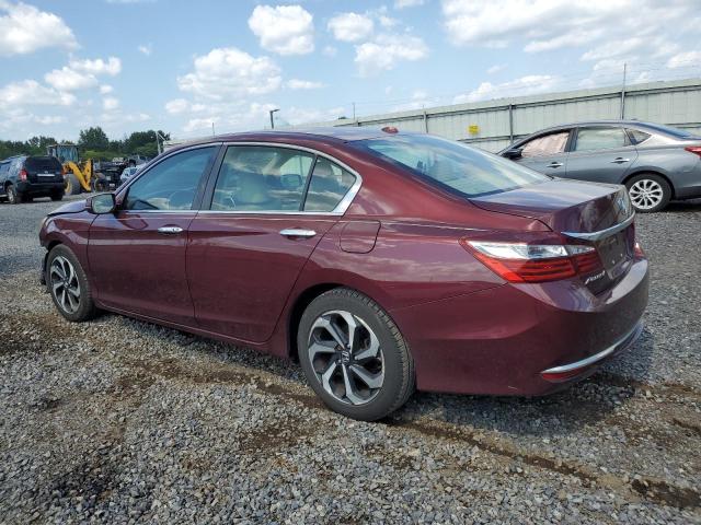 1HGCR2F84GA169472 - 2016 HONDA ACCORD EXL MAROON photo 2