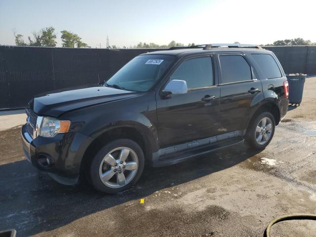 2011 FORD ESCAPE LIMITED, 