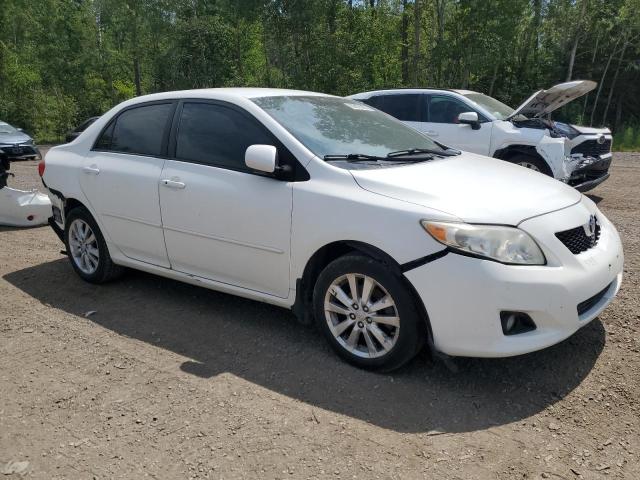 2T1BU40E19C143140 - 2009 TOYOTA COROLLA BASE 白色 照片 4