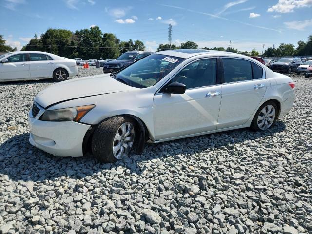 2009 HONDA ACCORD EXL, 
