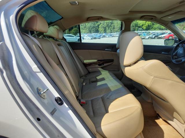 1HGCP36879A009133 - 2009 HONDA ACCORD EXL WHITE photo 10