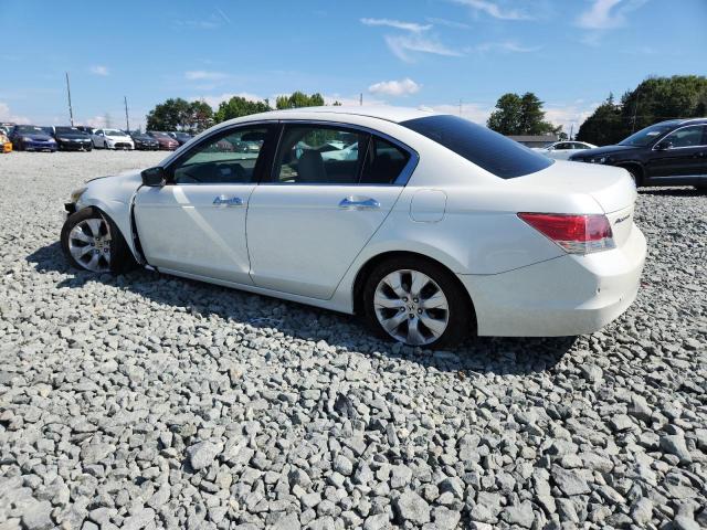 1HGCP36879A009133 - 2009 HONDA ACCORD EXL WHITE photo 2