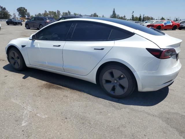 5YJ3E1EA4PF517805 - 2023 TESLA MODEL 3 Ağ foto 2