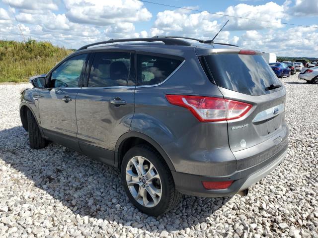 1FMCU9H9XDUB79392 - 2013 FORD ESCAPE SEL GRAY photo 2