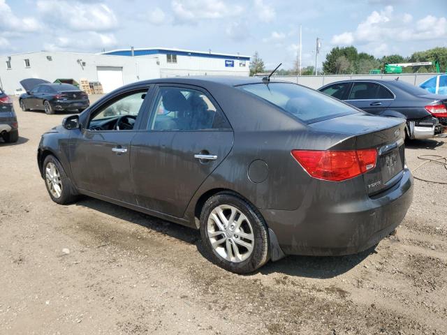KNAFU4A29B5453171 - 2011 KIA FORTE EX BROWN photo 2