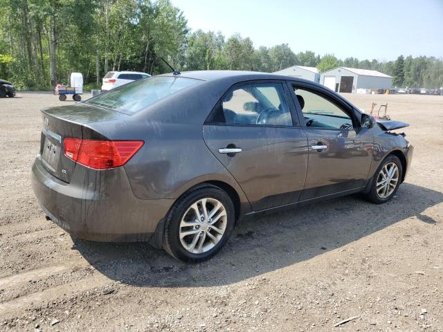 KNAFU4A29B5453171 - 2011 KIA FORTE EX BROWN photo 3